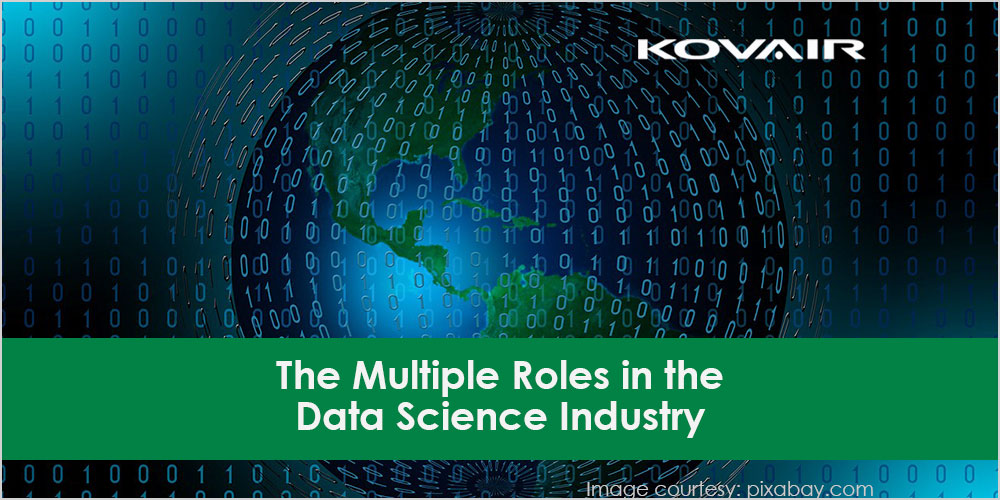 The Multiple Roles in the Data Science Industry