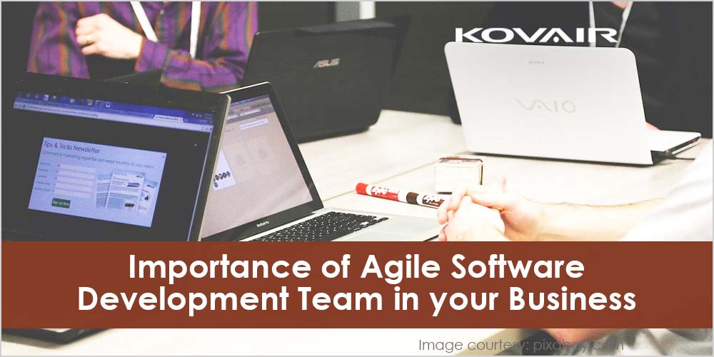 Agile Software Development Team