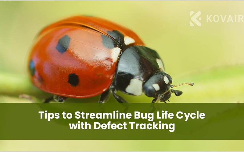 Streamline Bug Life Cycle with Defect Tracking