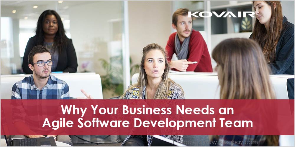 Business Needs an Agile Software Development Team