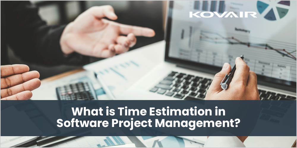 software project management
