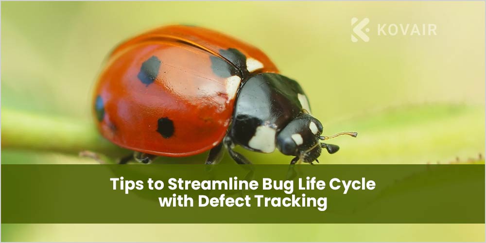 Streamline Bug Life Cycle with Defect Tracking