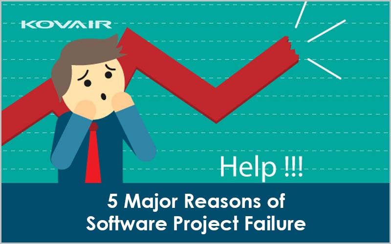 software project failure