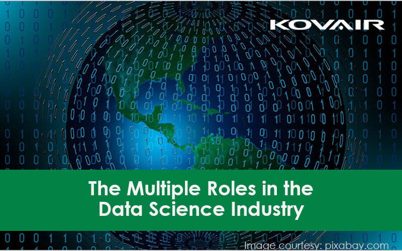 The Multiple Roles in the Data Science Industry