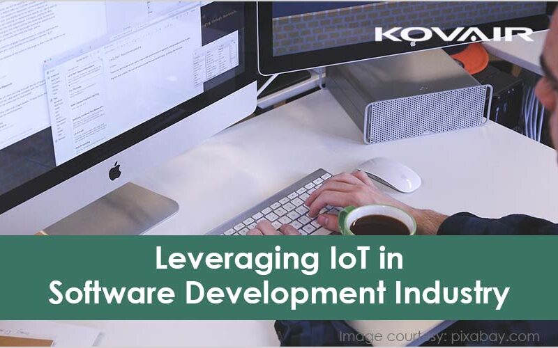 Leveraging IoT in Software Development Industry