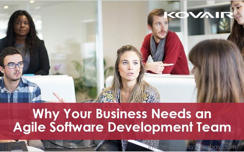 Business Needs an Agile Software Development Team