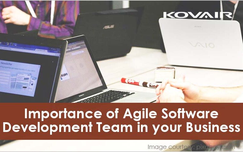 Agile Software Development Team