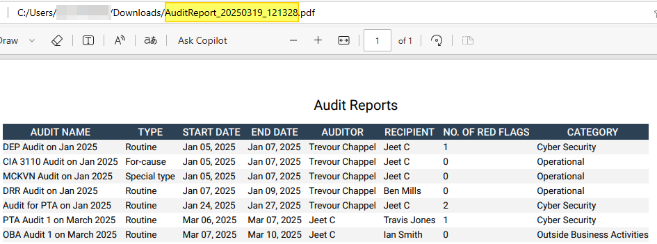 Exported PDF file content view