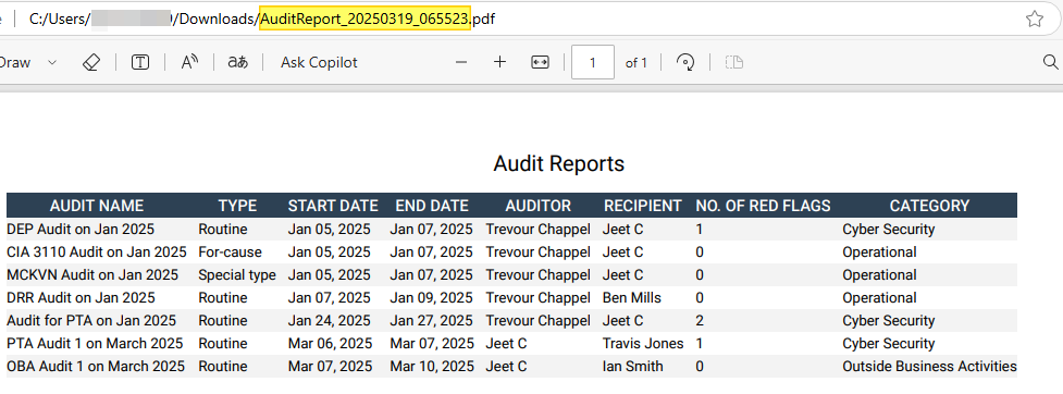 Exported PDF file content view of all audits