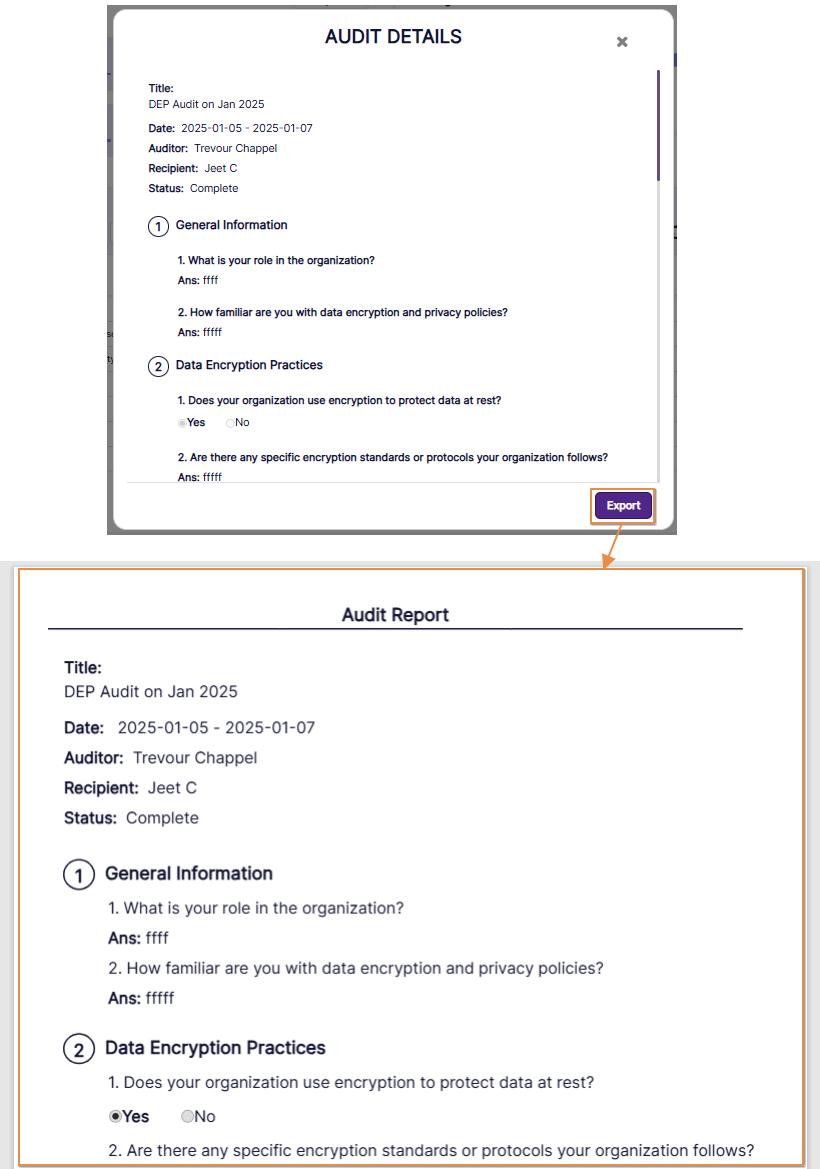Exported PDF file content view of chosen audit