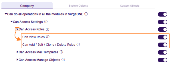 View of the expanding permission category after clicking on the left arrow icon against Can Access Roles