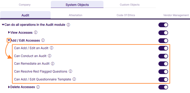 Loaded granular permissions when Add / Edit Access category is expanded in Audit tab